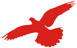 9854_4b4s_1975.png