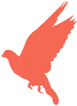 9854_mstu_9036.png